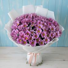 Букет цветов из:  Хризантемы в Бжедуховской