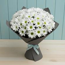 Букет цветов из:  Хризантемы в Бжедуховской